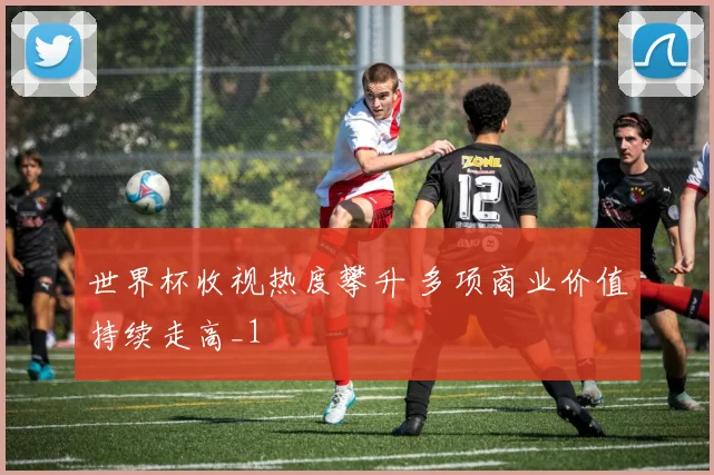 世界杯收视热度攀升 多项商业价值持续走高_1