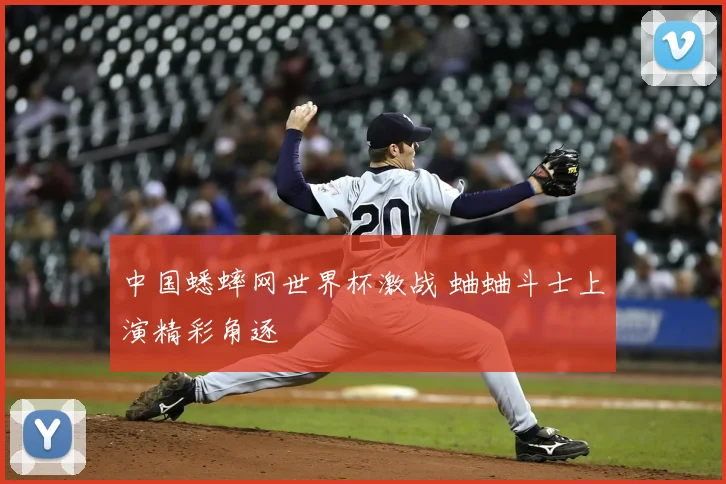中国蟋蟀网世界杯激战 蛐蛐斗士上演精彩角逐