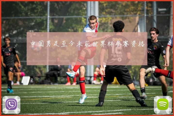 中国男足至今未获世界杯参赛资格